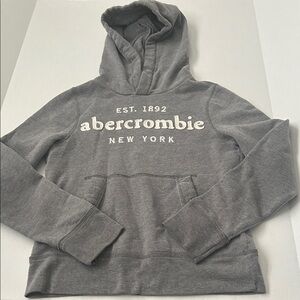 Abercrombie & Fitch Gray Kids Hoodie